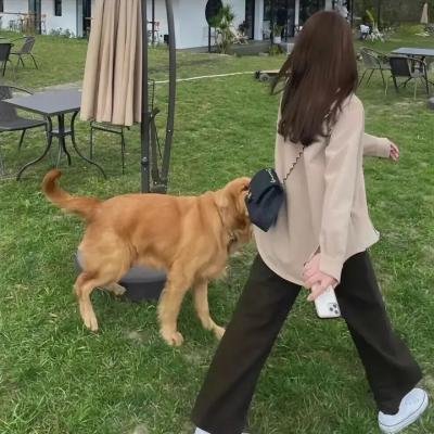 方块皇后